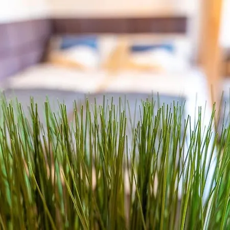 Lägenhet Golden Nugget Inkl Wlan, Parkplatz Detmold